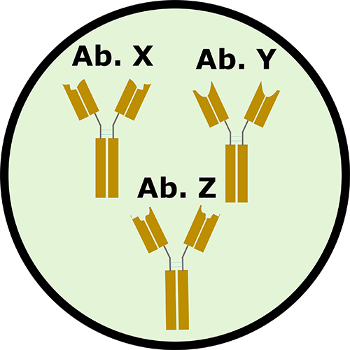 EpiQMAx - Antibody target validation EpiQMAx - Antibody target validation