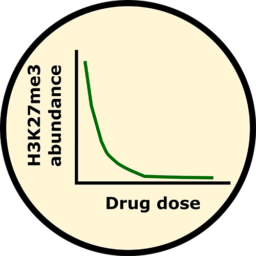 EpiQMAx - Epidrug efficacy assessment EpiQMAx - Epidrug efficacy assessment